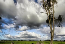 切尔西中场朗拿度恢复健康，对球队进攻构建有利