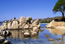 勇士雄鹿硬碰，库里字母哥锦上添花擦出高光