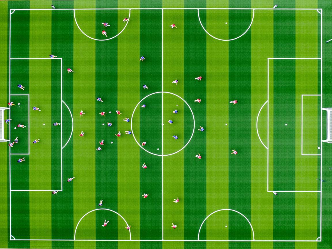 九游娱乐下载-女子田径国家队进行专项力量训练测试，女子田径国家队进行专项力量训练测试的目的是