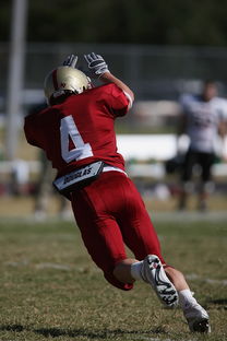 九游官网入口注册-五大联赛争四阶段关键球员贡献值差异对比，五大联赛引援